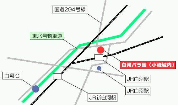 ̓oANZX}bv