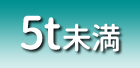 5t